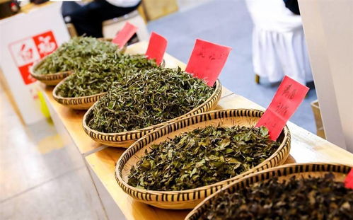 部分茶叶价格不菲 各类周边产品抢眼 2021上海茶博会春季展开幕